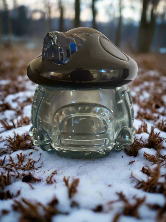 4" Mushroom Stash/Storage Jar